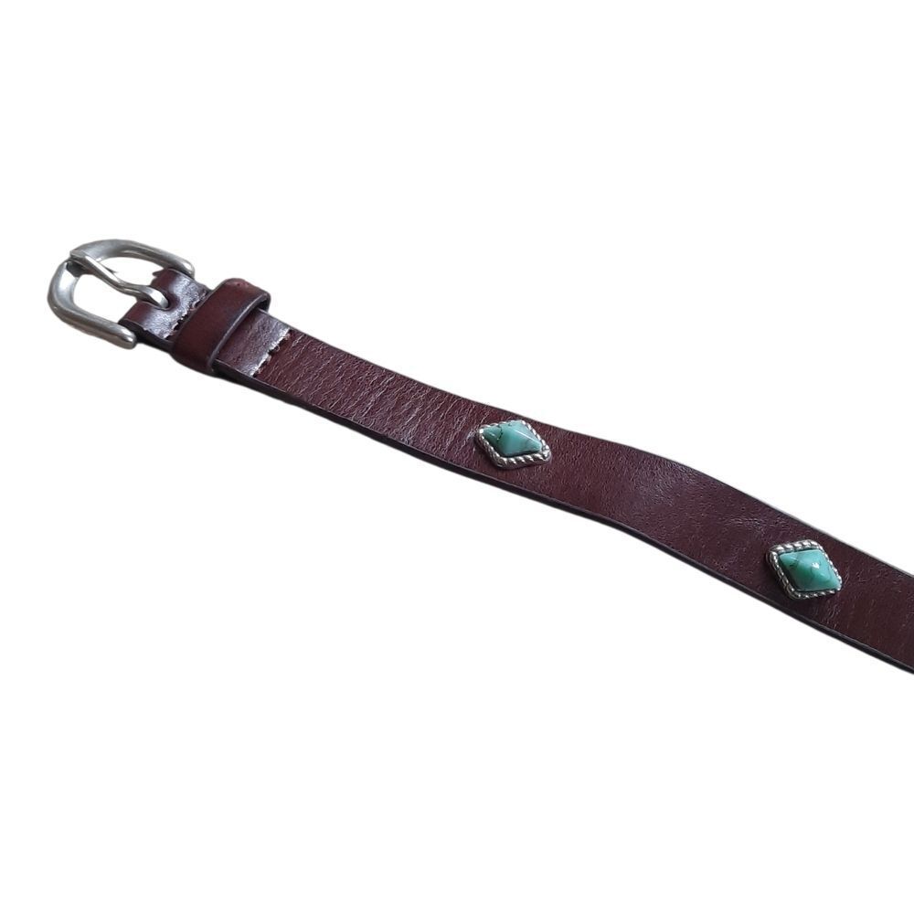 Target Brown Belt with Silver Buckle and Green Details